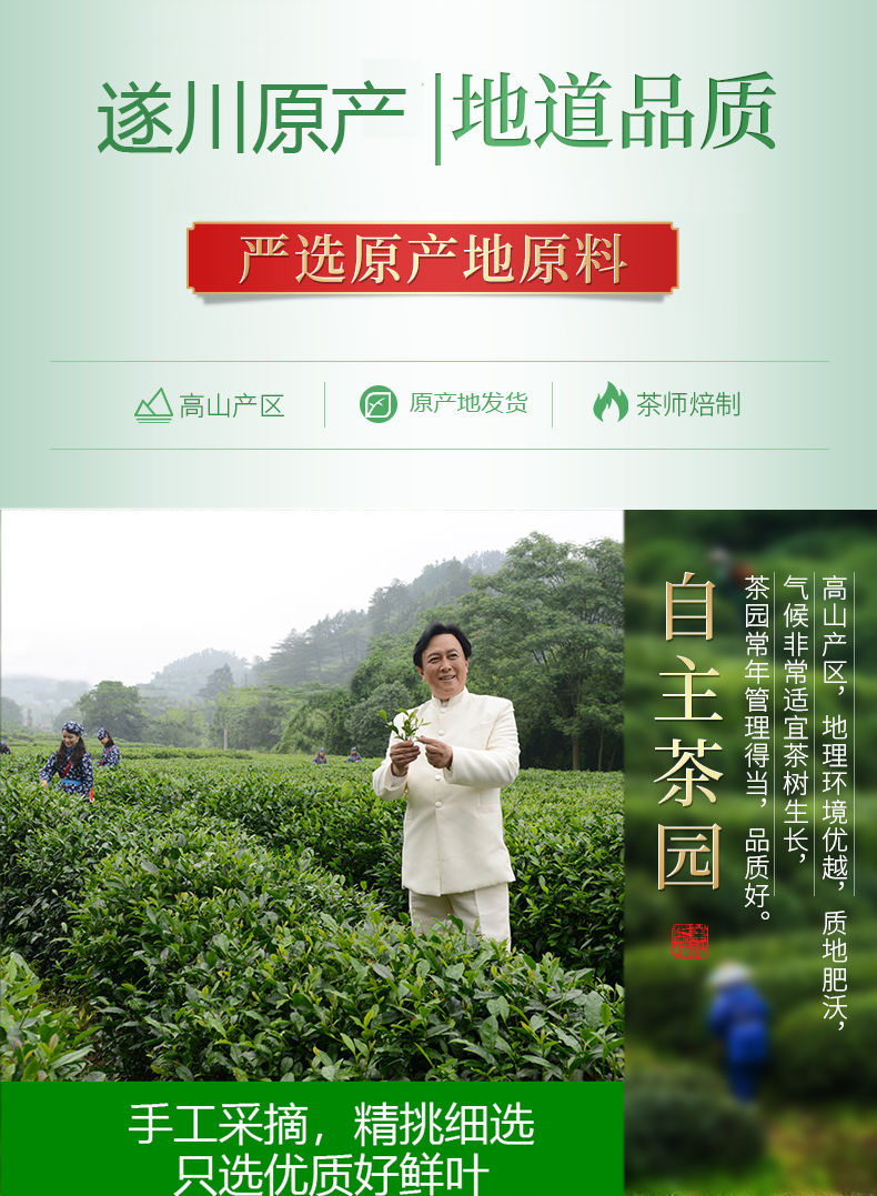 2021新茶江西遂川狗牯脑绿春茶叶高山云雾浓香型散装井冈特产一斤装