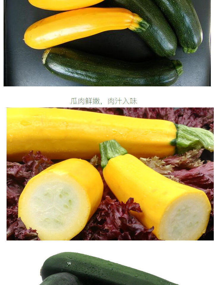 新鲜蔬菜青黄节瓜青节瓜黄节瓜夏南瓜西葫芦青节瓜2斤装