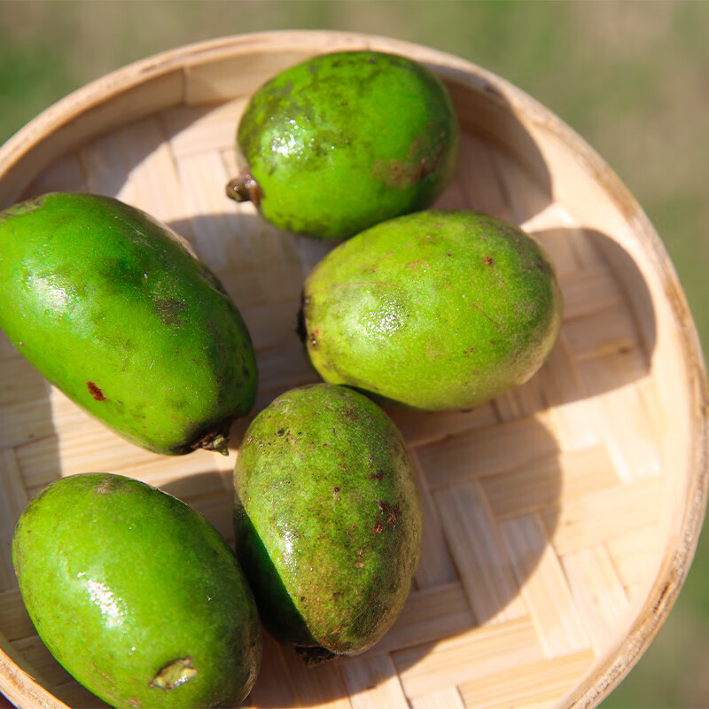 媚调云南腾冲新鲜克地佬食用滇青果泡酒野生鲜果现摘现发5斤【图片