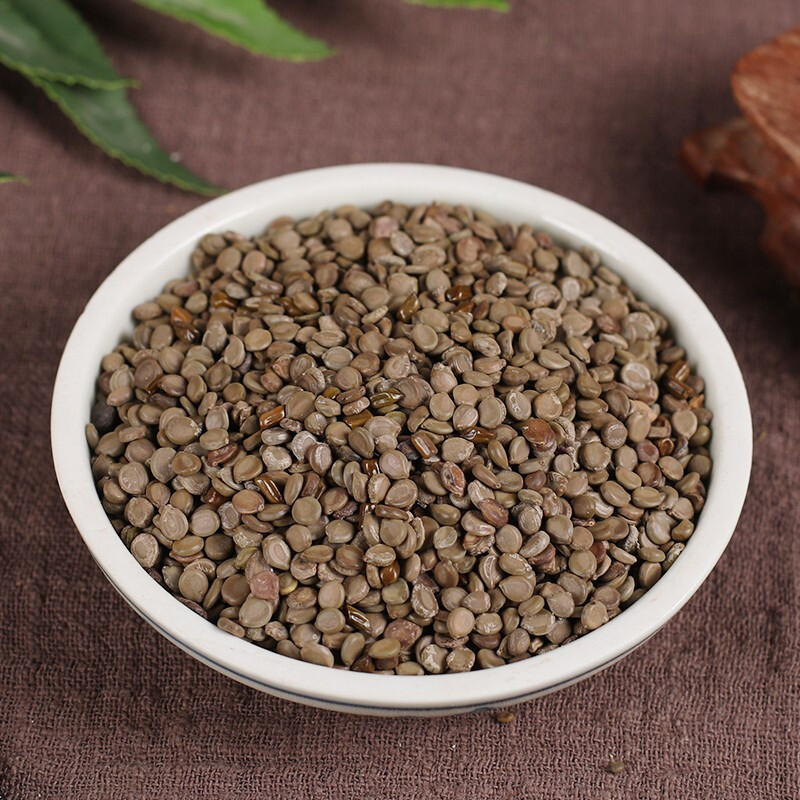 北京同仁堂望江南药材正宗药用望江南羊角豆山绿豆假决明狗屎豆500克