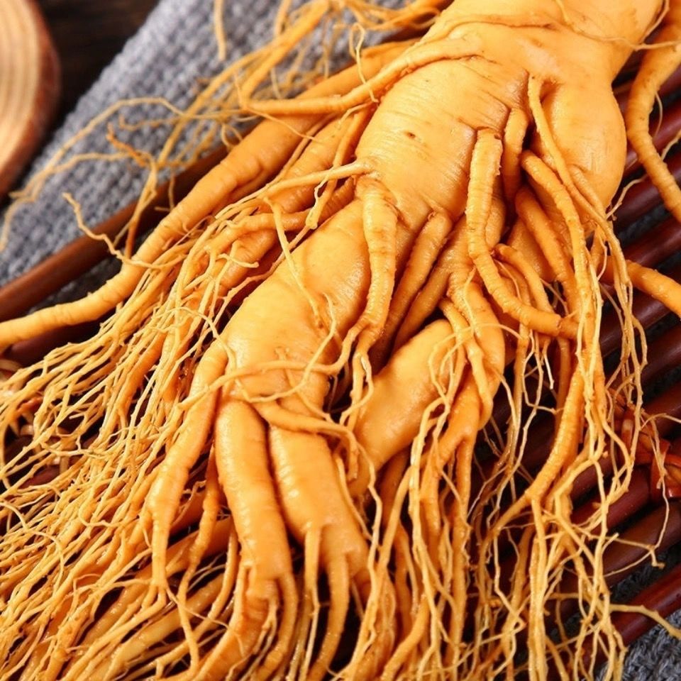 长白山人参【35年老参】特大只吉林人参长白山野山人参送礼泡酒精品