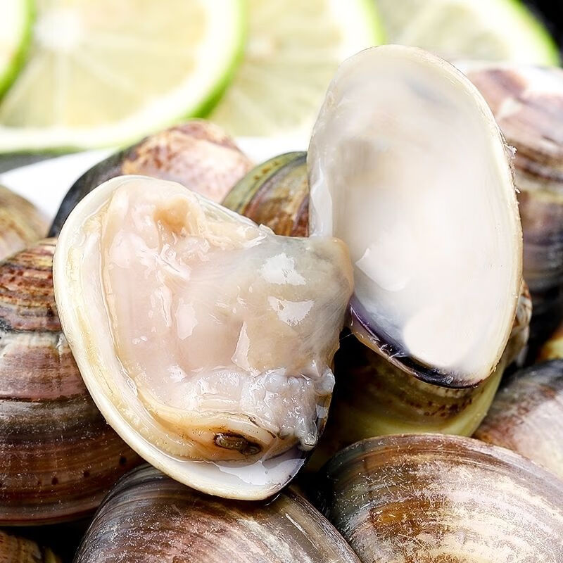 鲜活蛤蜊美贝无沙花甲花蛤文蛤黄蚬子贝类海鲜批发 五斤装【图片 价格