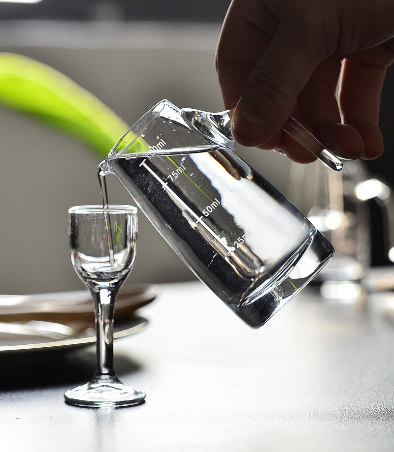 二两分酒器家用白酒杯套装酒具一壶一杯小号一口高脚烈酒杯带刻度杯架