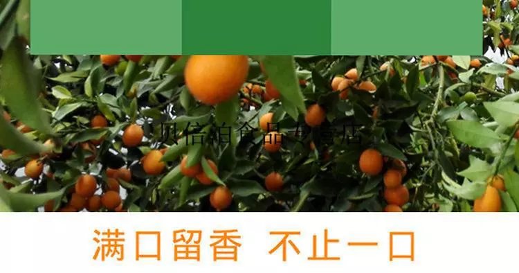 天山雪桔新疆200g原产地冰糖金桔干罐装反砂蜜饯果脯金橘罐装 精选