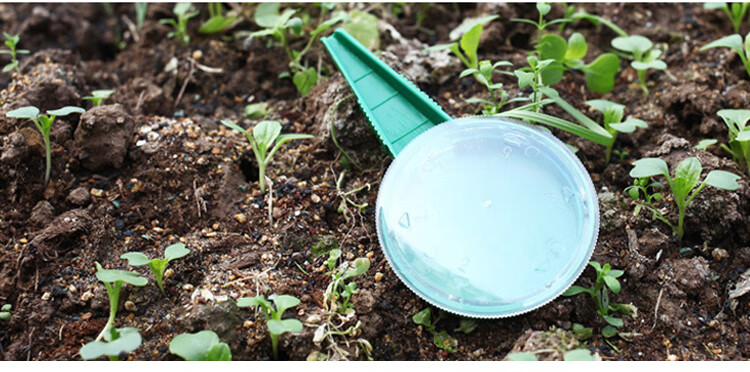 亚弗新手园艺用品种子播种神器穴盘播种盒育苗盘播种器种菜点籽点播器