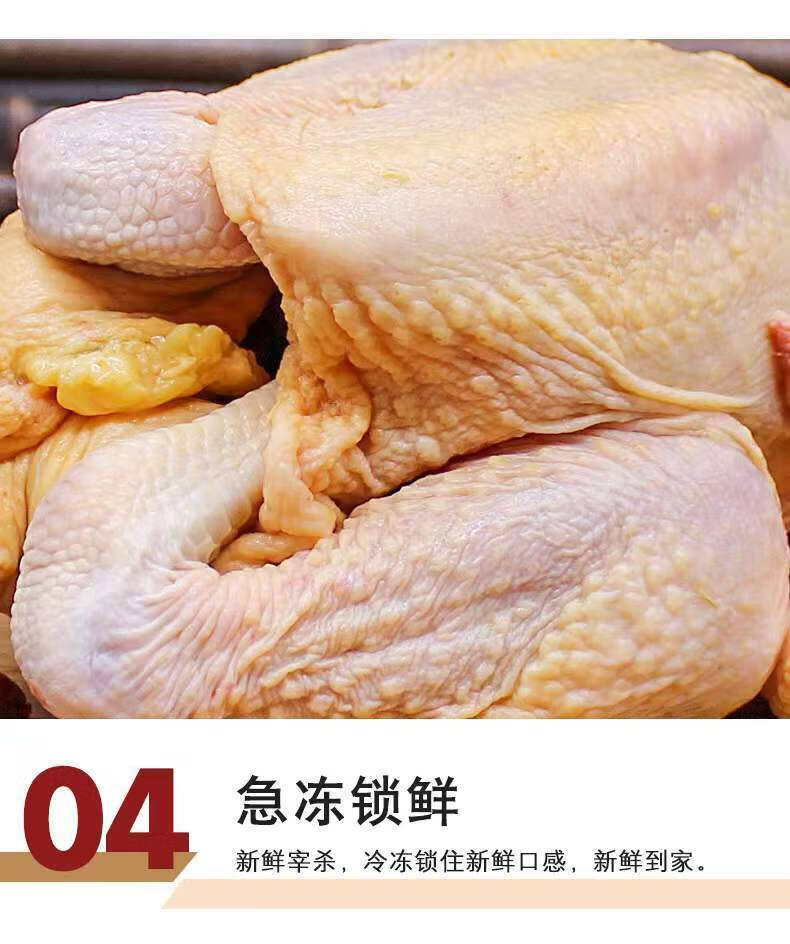 三黄鸡农家散养土鸡整只笨鸡鸡肉鸡走地鸡活杀冷冻鲜琛觅1只三黄鸡约