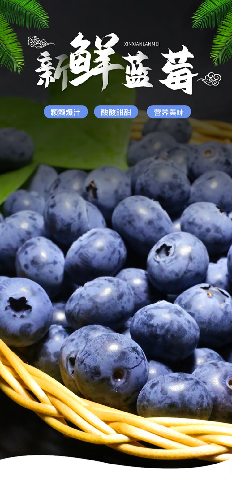 顺丰蓝莓新鲜蓝莓大甜鲜果丹东蓝梅当季水果孕妇宝宝4盒125g每盒精选