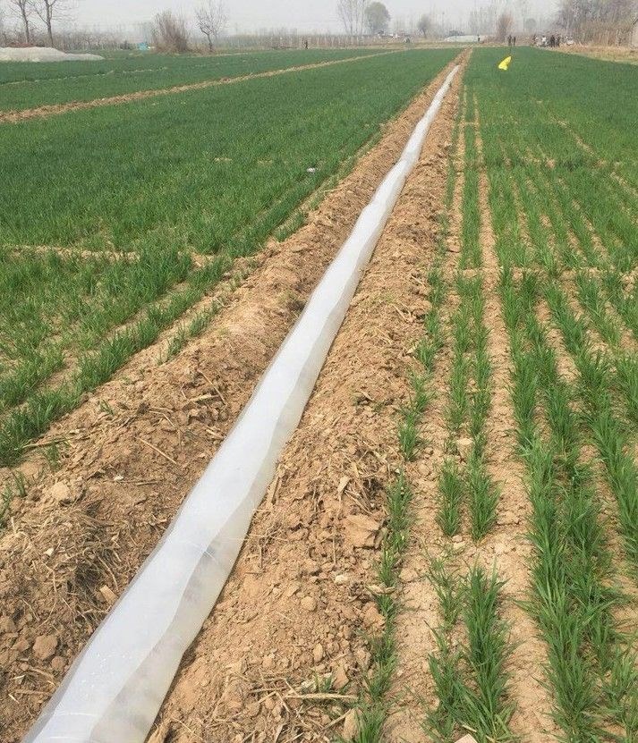 一次性浇地水带塑料水龙地龙带垄沟灌溉水袋软管子地垄沟农用【10 白