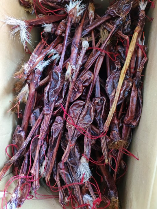 百日山牦牛鞭中药材整根 干货特大泡酒料 猪鞭牛鞭驴鞭鹿鞭羊鞭 小