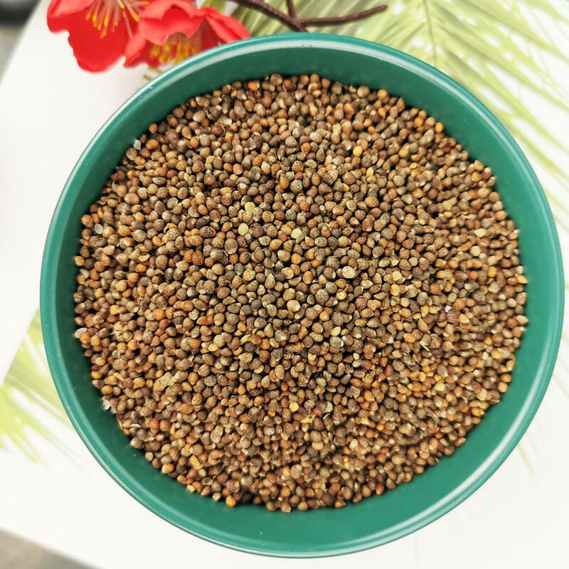 伟博白酥麻2斤苏麻籽农家酥麻黑苏麻250g生酥麻油性引子馅料食用炖鸭