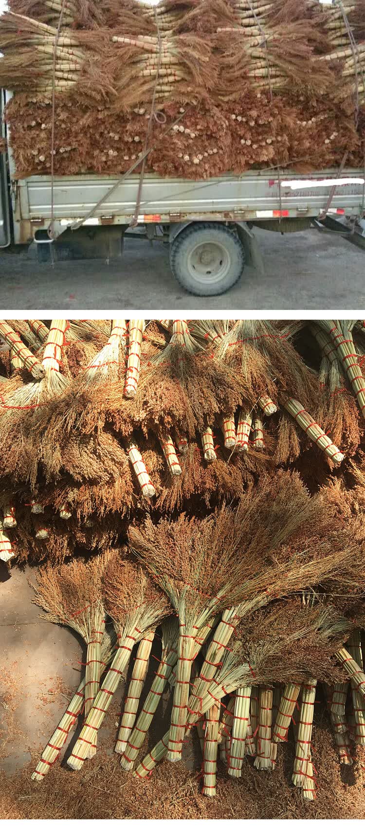 航若扫把家用纯手工红高粱做的小扫把单位学校加厚扫地扫帚苗 2号升级