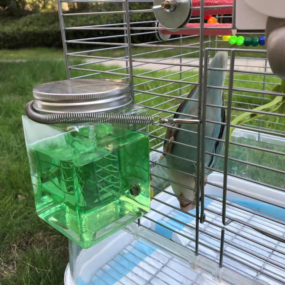 新款鹦鹉饮水器撞针撞针水壶饮水器宠物鹦鹉喝水器噬菌体搭配饮水器