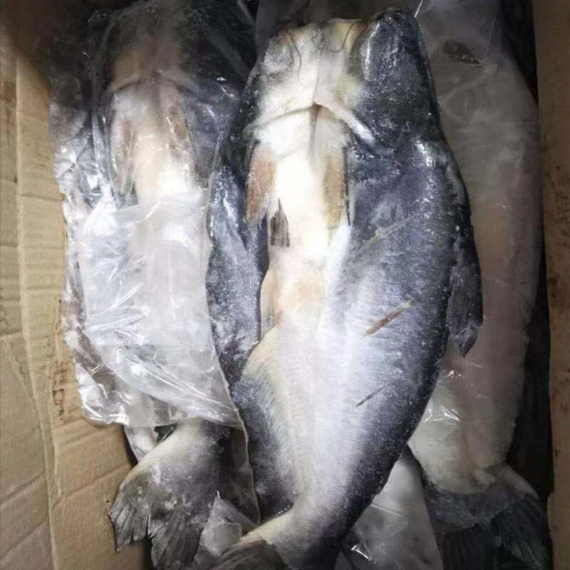 鲜活冷冻开背巴沙鱼 湄公鱼新鲜水产纸包炭烤鱼 自助餐烧烤整箱20 开