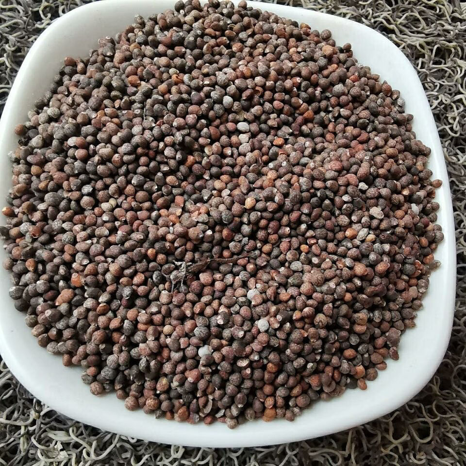 贵州酥麻子黑酥麻子引子酥麻紫苏子新货油性酥麻引子生苏子苏麻子