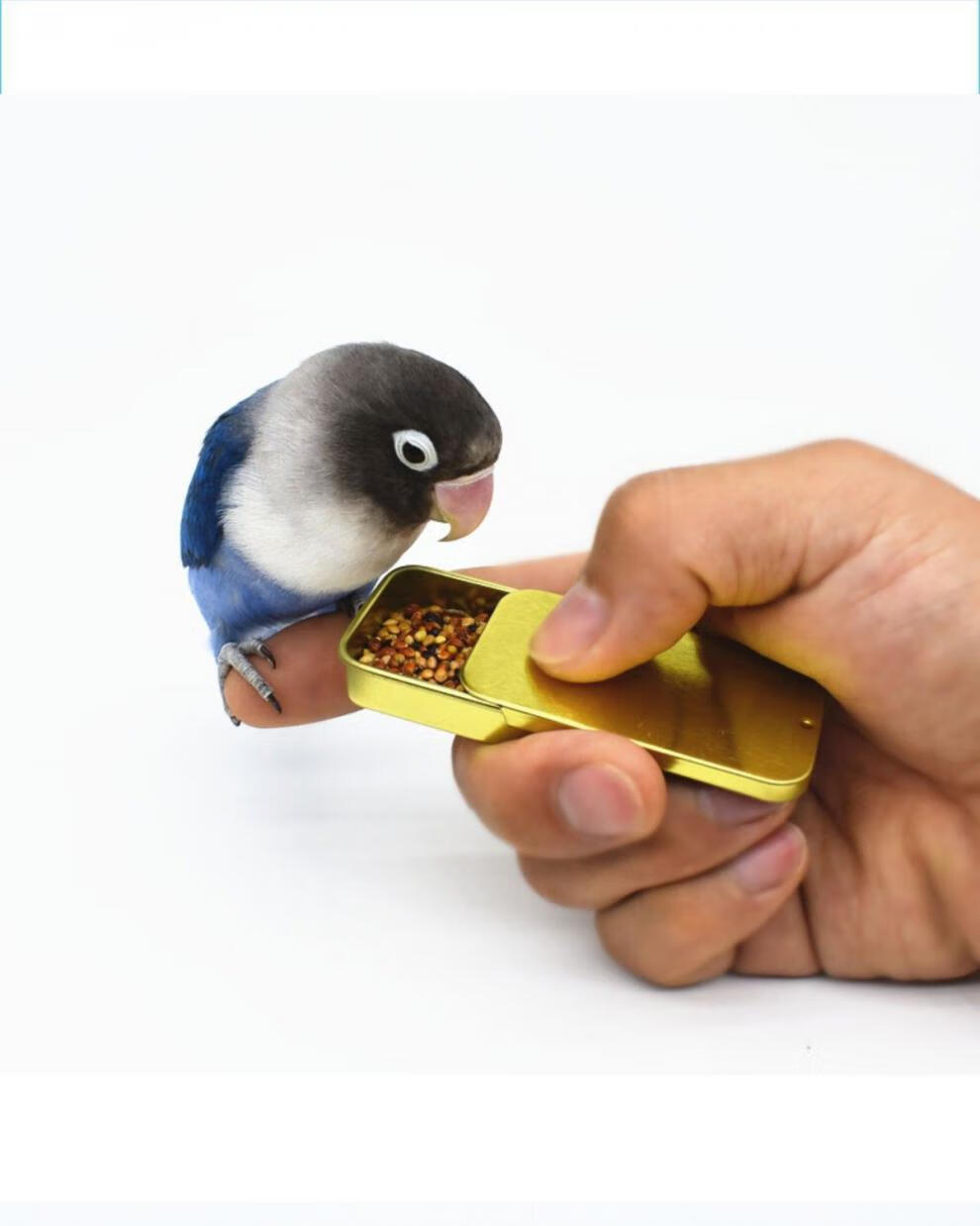 虎皮鹦鹉训鸟食盒牡丹玄凤八哥训鸟专用鸟食罐训练神器道具喂食器黑色