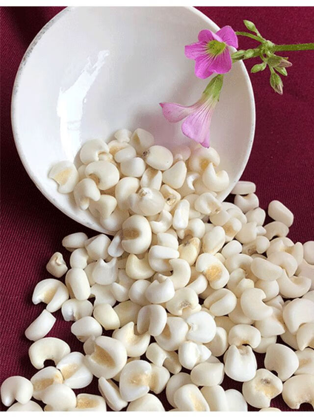 雪芽米包谷广西糯玉米头整粒玉米大颗白玉米粒杂粮干玉米粒苞谷米 9斤