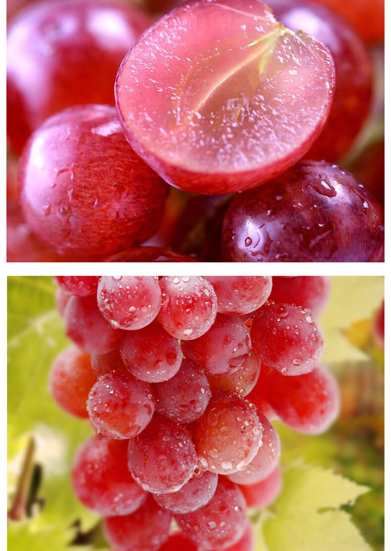 晶太太 新疆玻璃翠葡萄4斤装新鲜水果吐鲁番孕妇应当季无籽提子葡萄