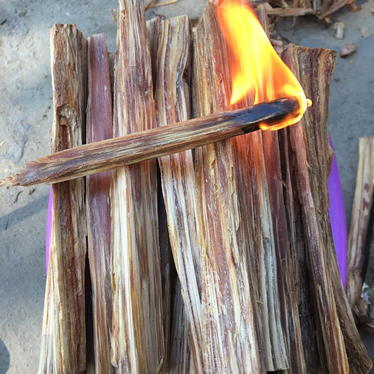 松明引火条引燃条松明松光琥珀木生火燃料油柴松明子木炭生火工具 1斤