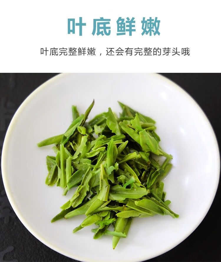 1斤雀舌茶片2022新茶翠芽嫩芽碎片浓香高山云雾炒青绿茶明前精选雀舌