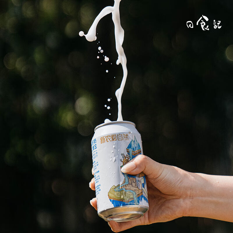 发酵乳酸菌饮品饮料奶啤整箱特产量腹而食 新农奶啤300ml*6罐【图片