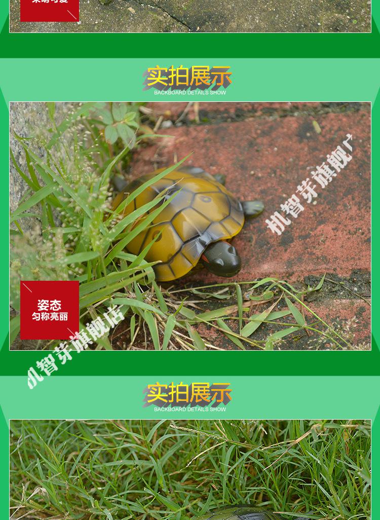 动物遥控乌龟电动爬行创意草龟儿童电动小海龟新奇玩具男抖音遥控乌龟