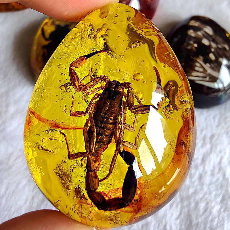 启珀昆虫标本虎年新款真昆虫标本真虫蝎子蝴蝶琥珀水滴形吊坠百搭挂件