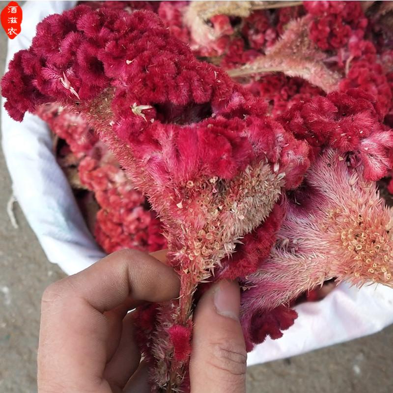 酒滋农品质鸡冠花干晒干的红色鸡髻花鸡公花有白鸡冠花帮代磨粉250g