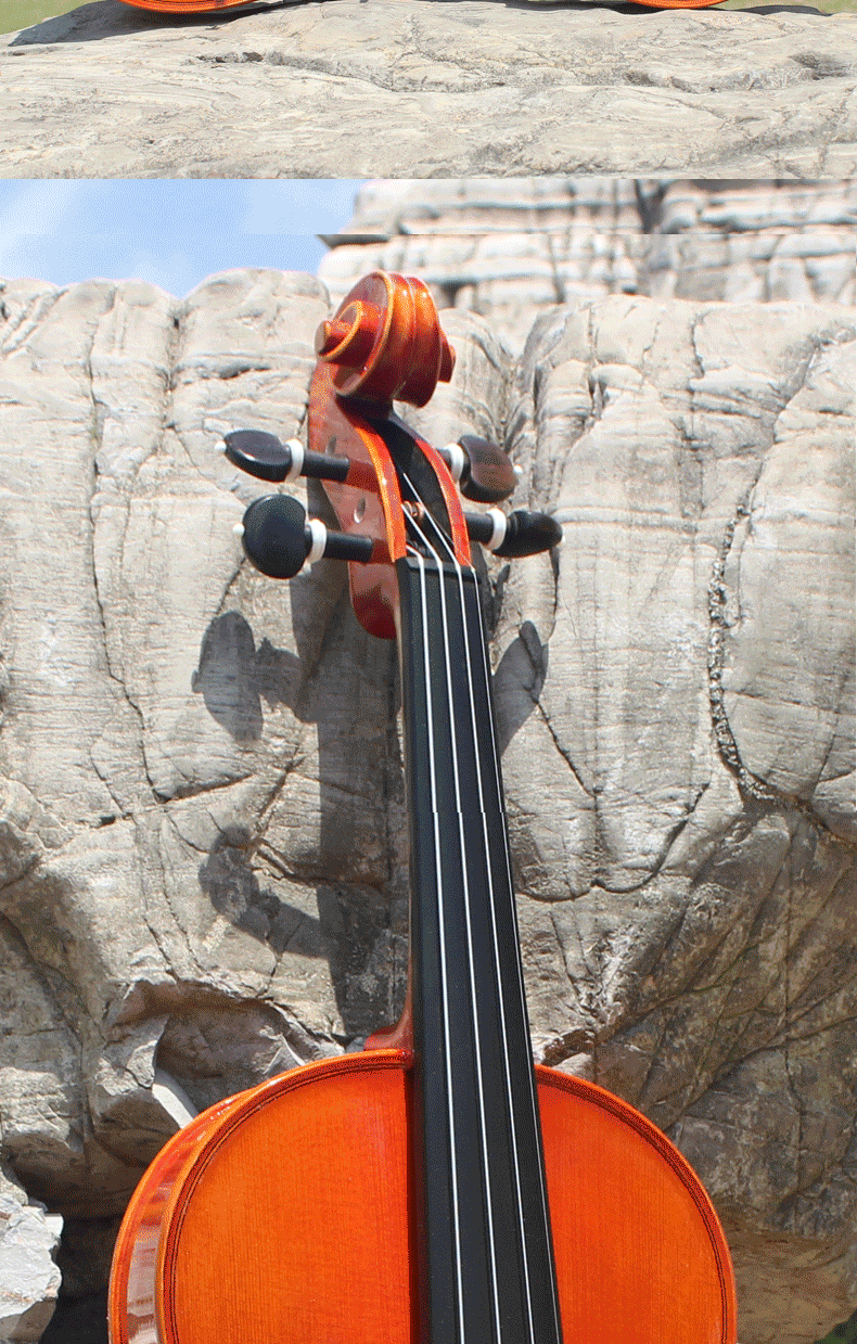 成人专业演奏级小提琴爱琴海纯手工小提琴european初学考级进口欧料