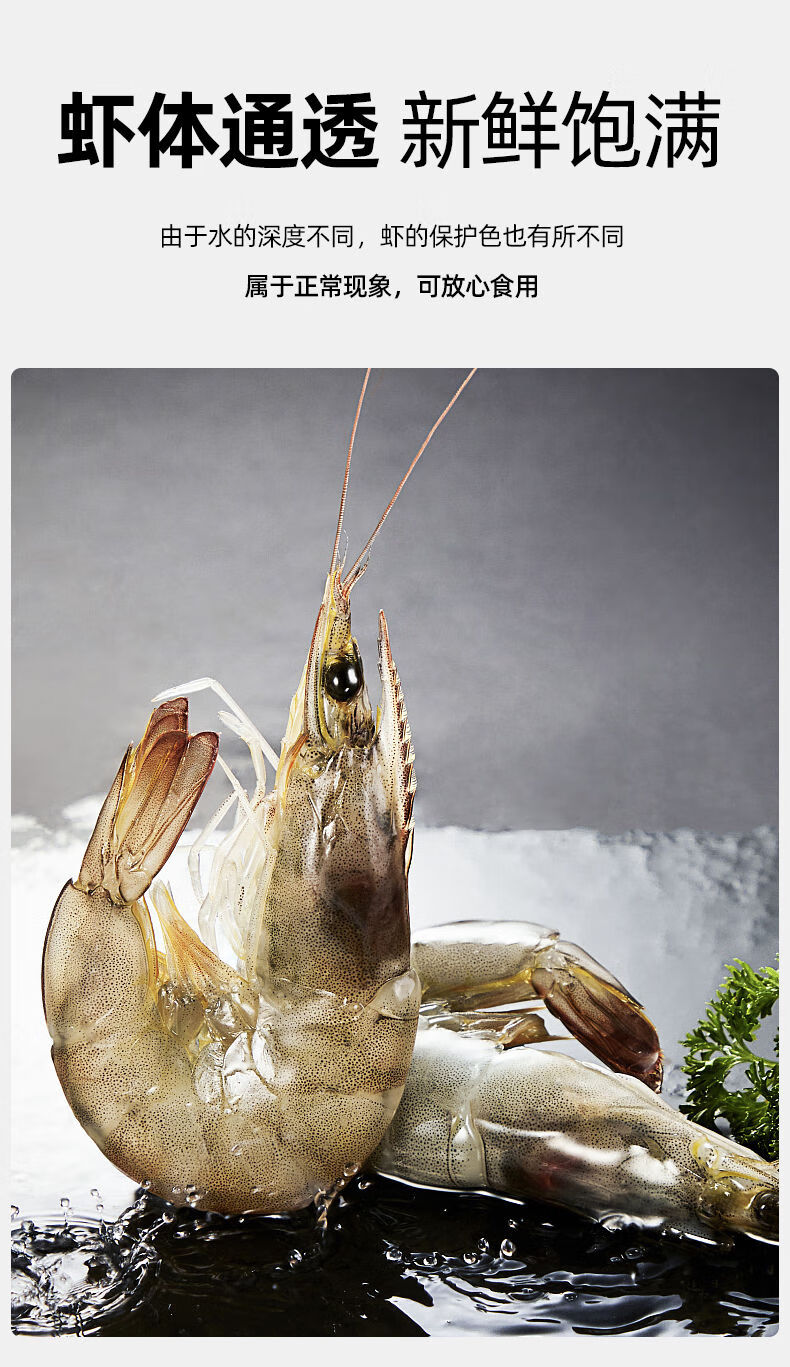 青岛海捕新鲜大虾4斤装超大海虾鲜活速冻基围虾特大白虾海鲜水产1215