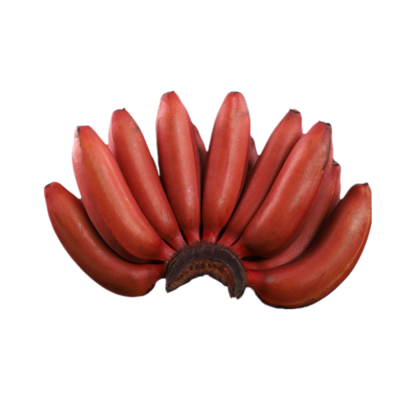 红美人香蕉5斤