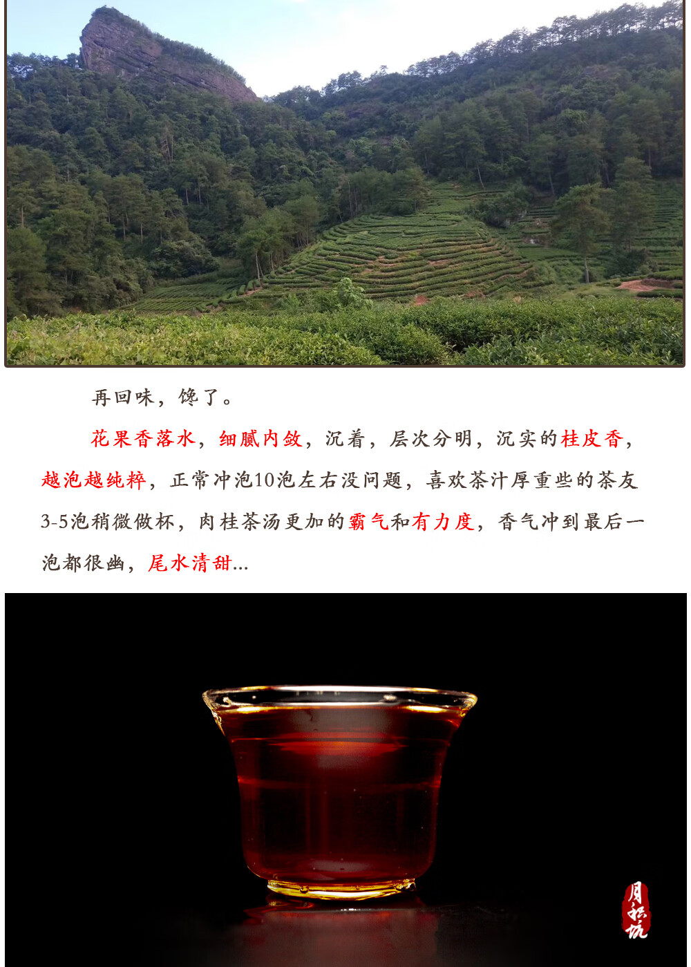 正岩肉桂传统手工足火炭焙高端品质乌龙茶品鉴装月积坑18g两泡
