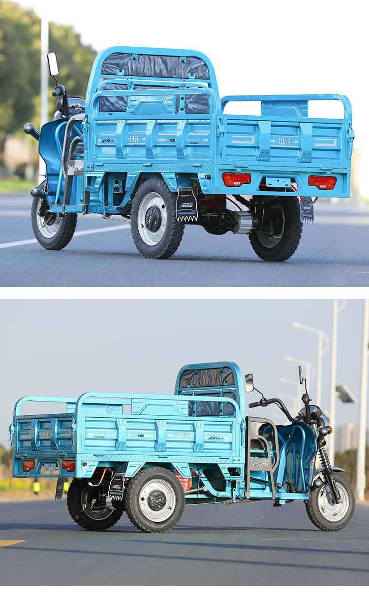 田洋电瓶成人代步货车载重王快递电瓶车家用拉货农用电动三轮车 1.