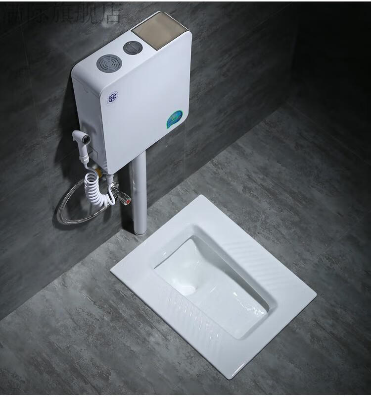 家用陶瓷蹲便器冲水箱整套装卫生间大便器蹲盆蹬厕所臭蹲坑便池满际