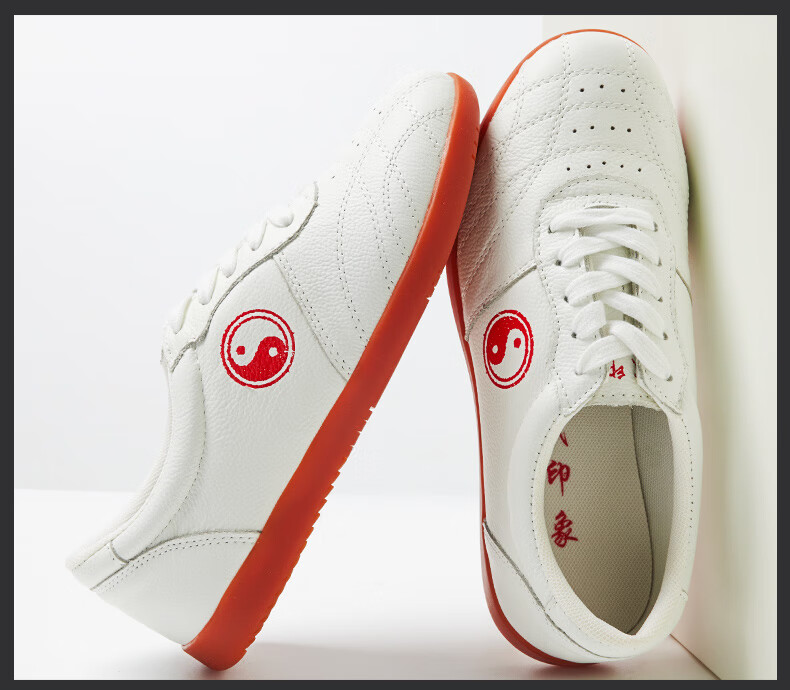 武极堂新款太极鞋女软牛筋底武术鞋男春夏季透气太极拳练功鞋运动鞋劲