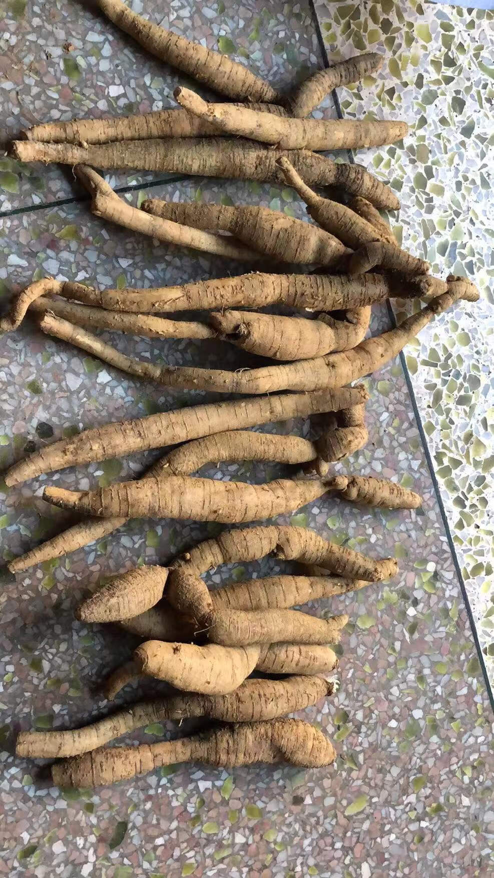 野外生牛大力中药原材煲汤泡酒料猪脚笠山莲藕新鲜挖金钟根粉质薯500g