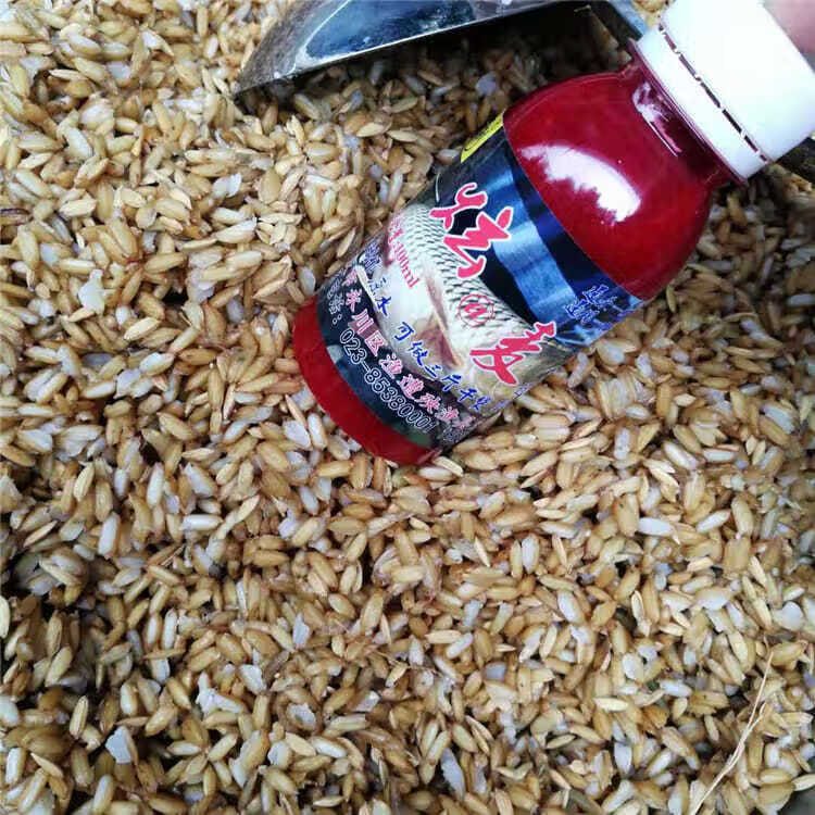 京品优选重庆永川谷麦小药窝料配方药酒钓鱼饵料一杆玉米谷子麦子鲤鱼