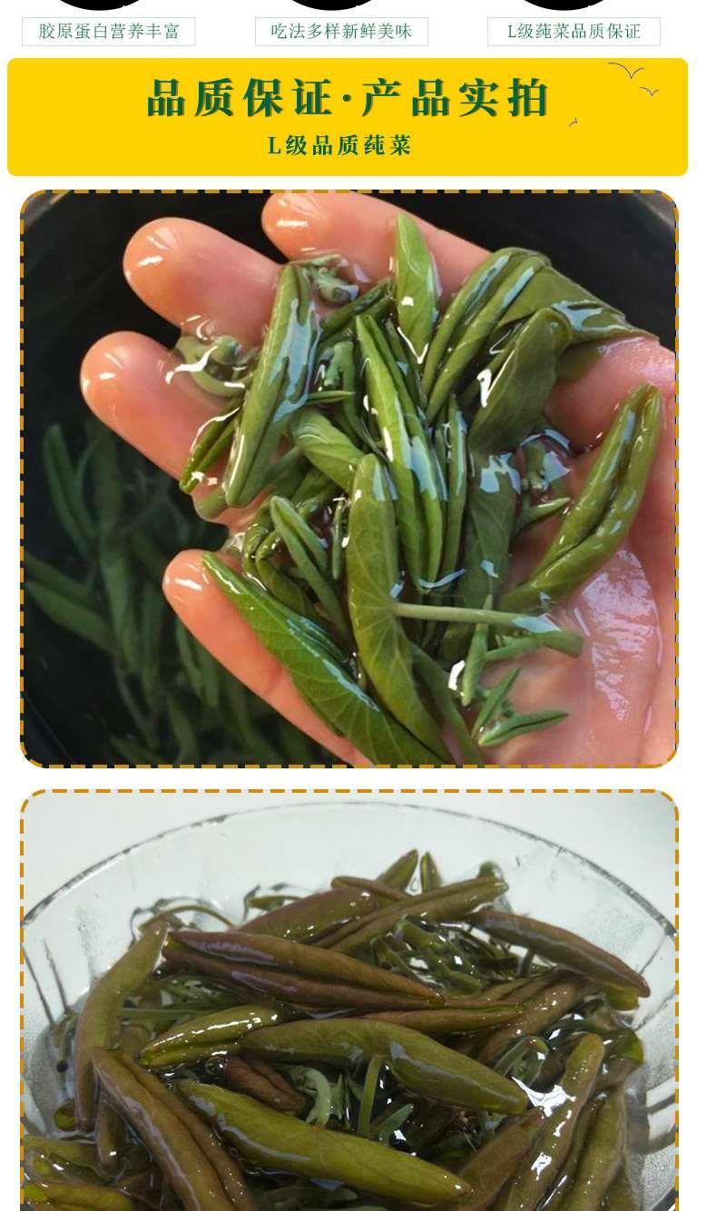 轻恋石柱黄水福吉利莼菜新鲜蔬菜嫩叶l级利川莼菜菜马蹄菜300克300克5