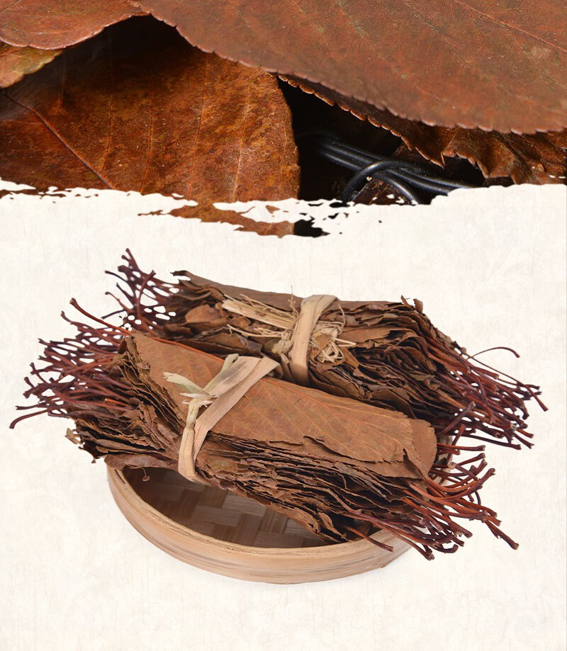 广东特产山楂叶粤北连州山楂叶茶新鲜山楂树叶昌隆福记 山楂叶500g