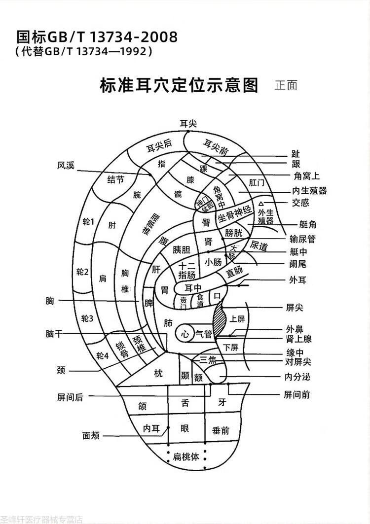 手足穴位模型耳朵经络反射区中医教学高清脚底按摩脚部足疗点穴17cm手