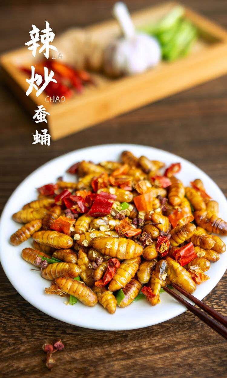 山东蚕蛹鲜活冷冻新鲜金丝蛹高蛋白茧蛹山东土特产桑蚕蛹蝉蛹 正宗