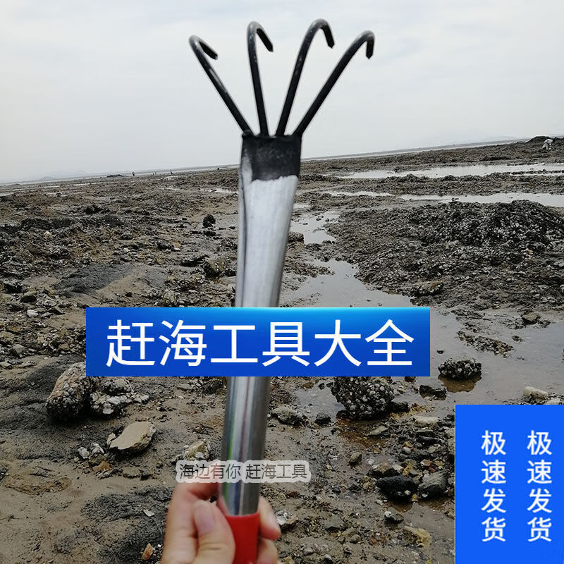 挖蛏子 钓蛏子专用钩竹节蛏赶海工具不锈钢勾 蛏子钩 抓蛏子神器 304