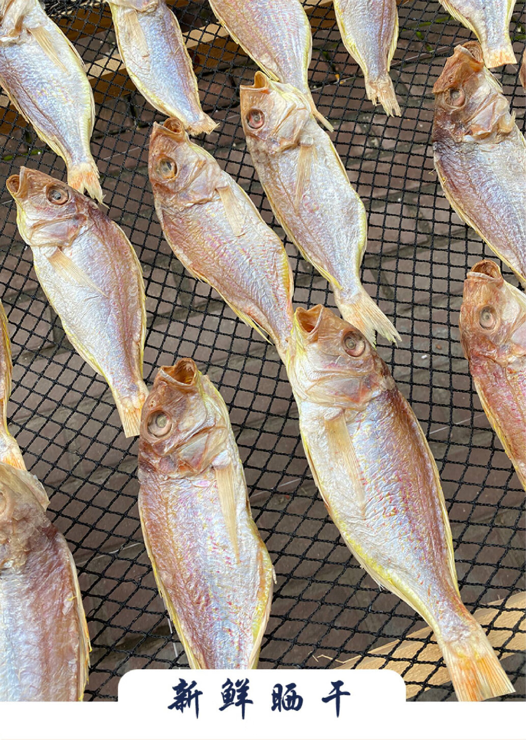 阳江特产红杉鱼干自制风干新鲜海鲜自晒咸鱼干干货特产 一斤装【图片