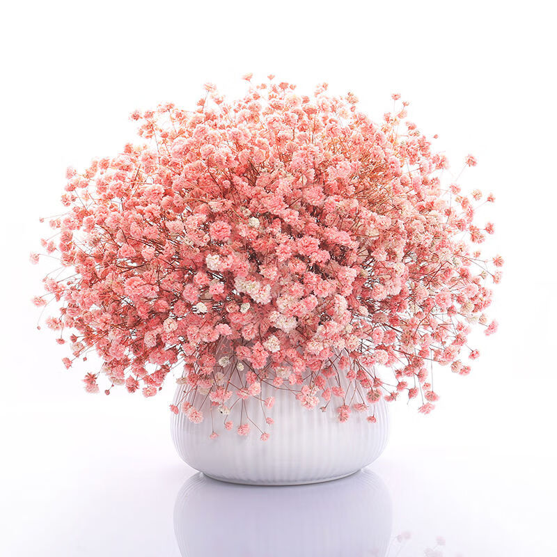 【拼购】四季易种易活满天星花种子 1000粒 送肥