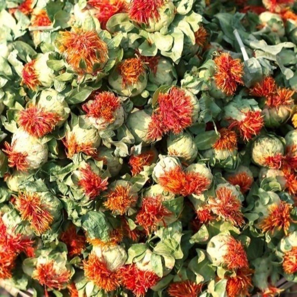 草西红花球 番红花 橙菠萝 当季新品 花茶 500克【一斤装】功效与作用