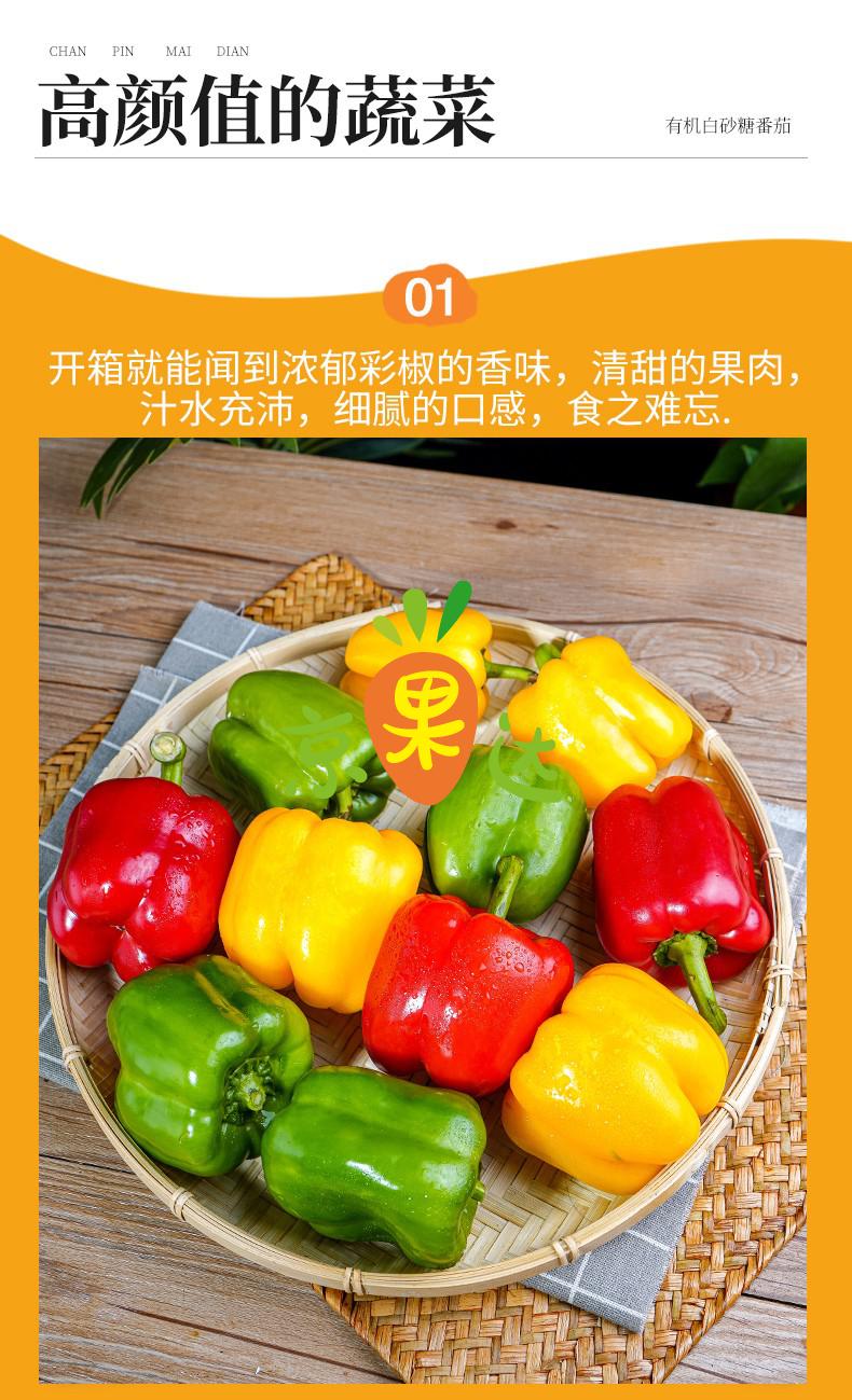 山东彩椒 新鲜圆辣椒五彩红黄灯笼椒农家头茬 5斤【图片 价格 品牌