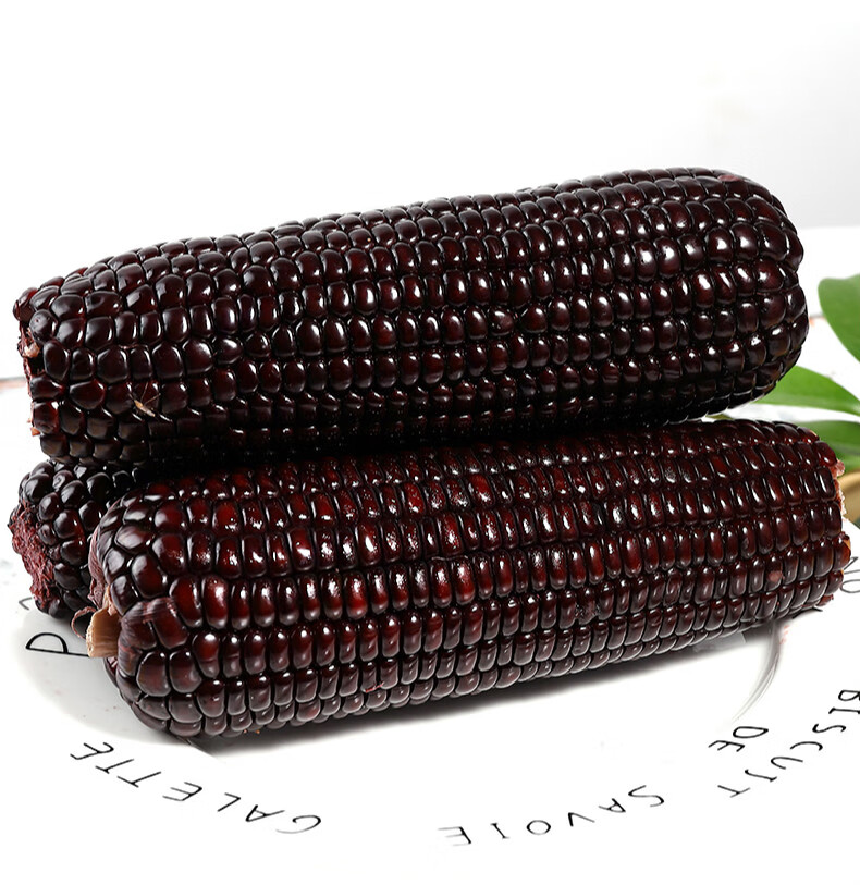 媚调东北黑糯玉米10根新鲜紫黏玉米双棒装即食甜嫩苞米粒真空蔬菜