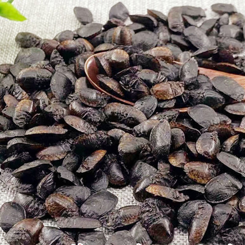 北京同仁堂野生炒小九香虫 中药材清水小生九香虫 打屁虫 50g-250g 50