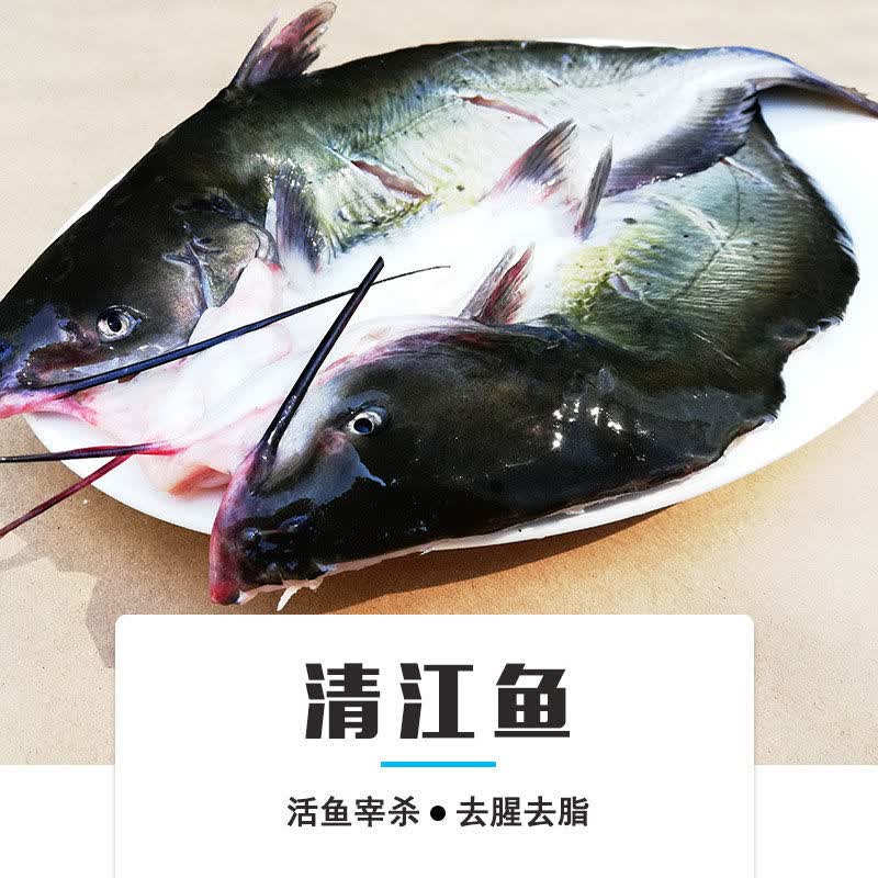铭心微山湖淡水生态鮰鱼江团尾鮰鱼鱼肉鲜回鱼开肚整鱼开肚杀真空包装