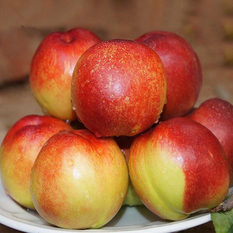 【坏果包赔】新鲜 黄肉油桃 5斤装