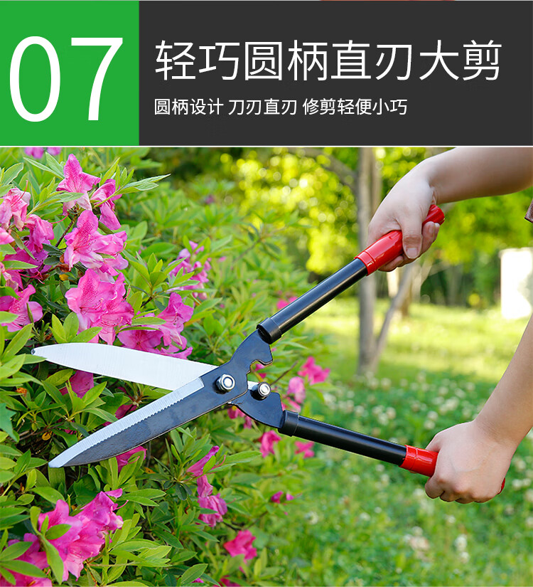 修剪树枝剪刀花剪园艺剪刀修枝剪草坪绿篱剪园林工具剪花草大剪刀 送